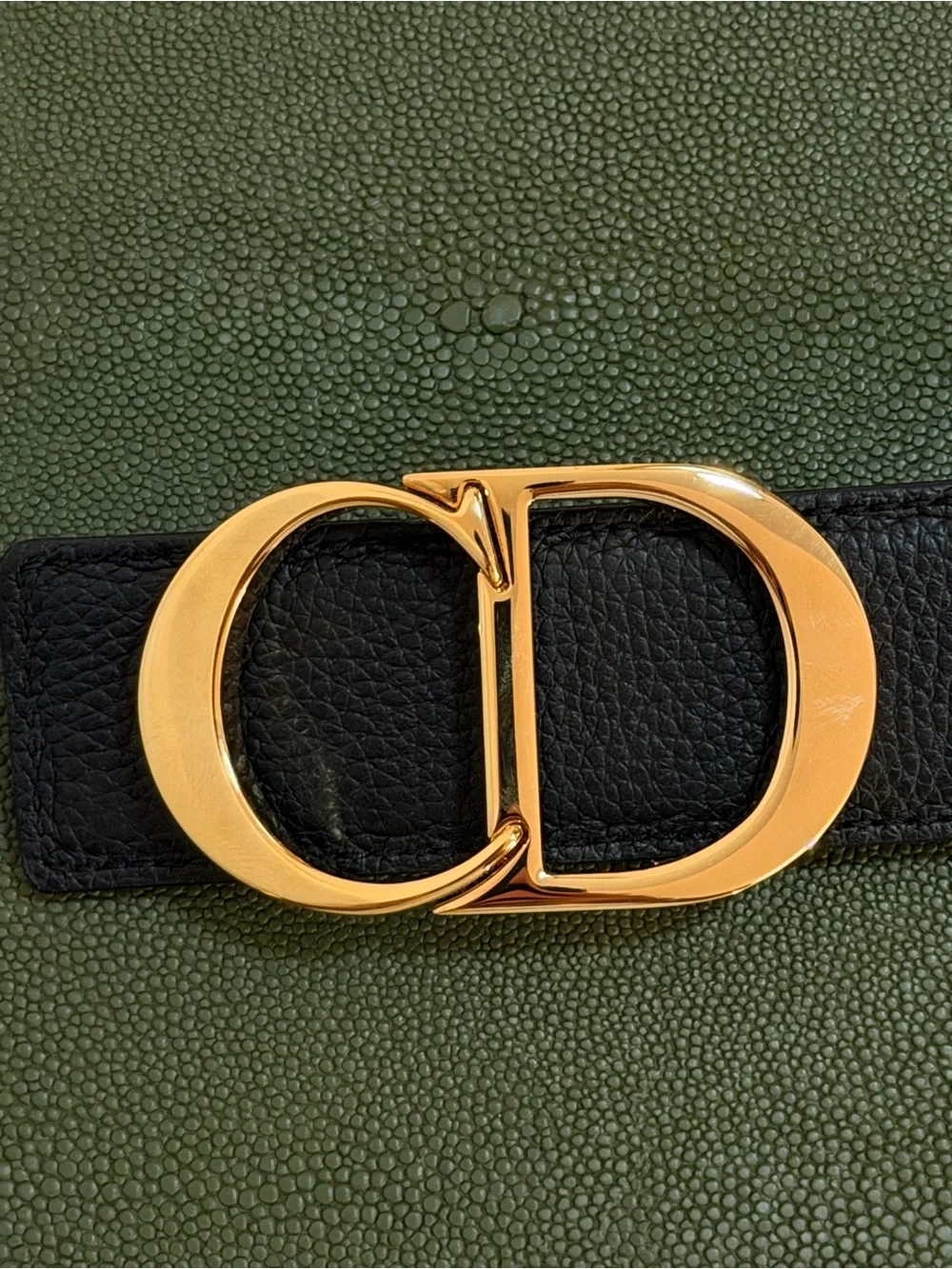 Dior sleek double